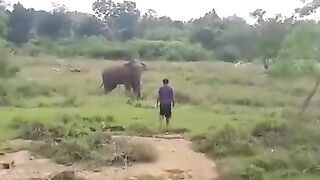 Dude tries to face down an elephant WCGW ?