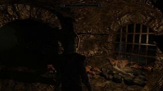 The dragonborn has some fun with a guard in the sewer