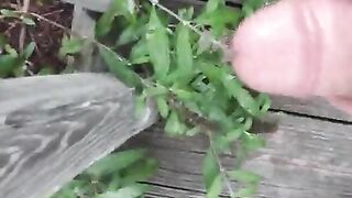 [Proof] Cum on a plant outdoors