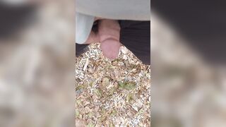 [Proof] Cum on leaves